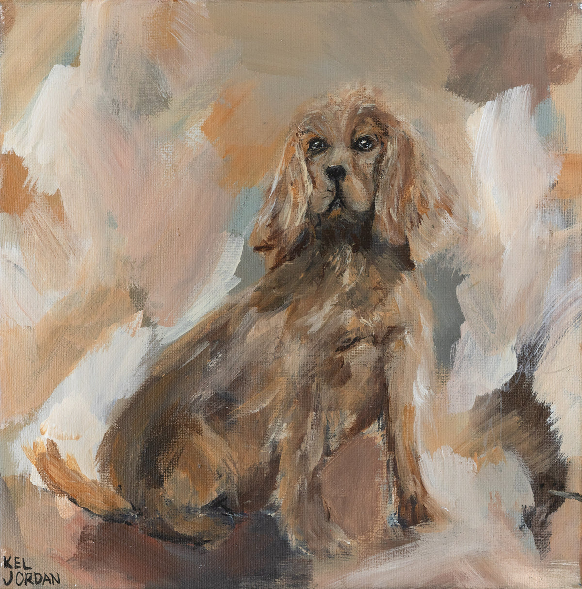 Spaniel