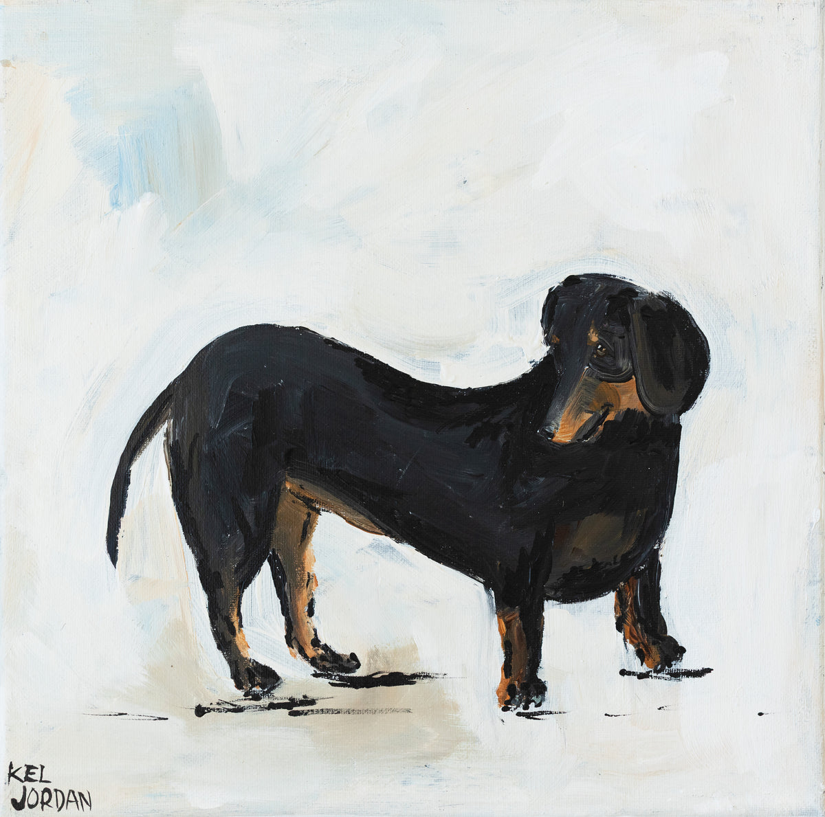 Dachshund