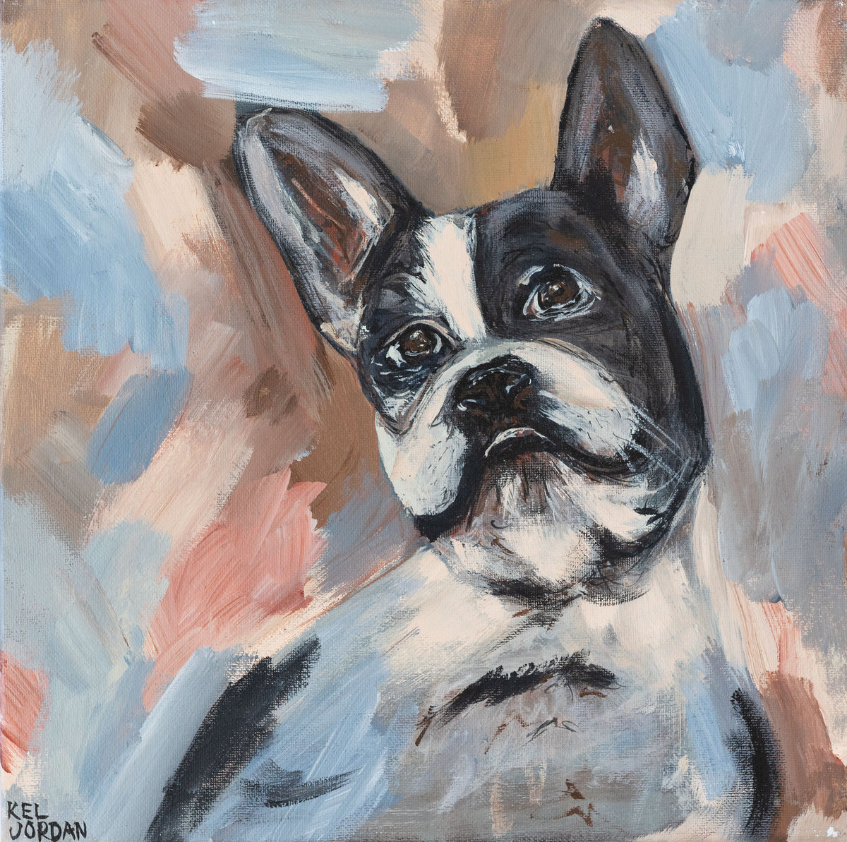 Boston Terrier
