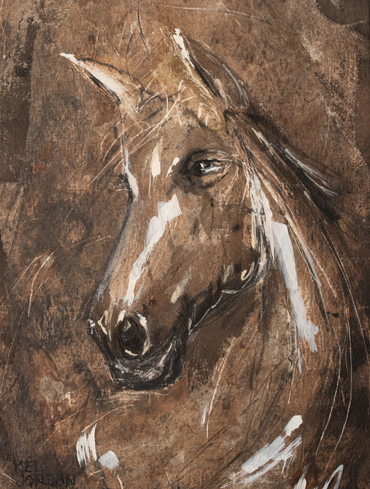 STUDY: Leather Horse