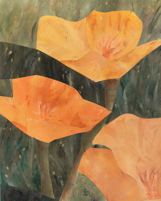 Poppies