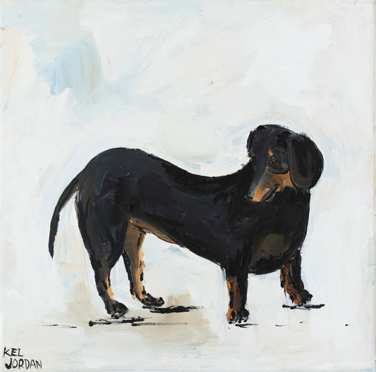 Dachshund