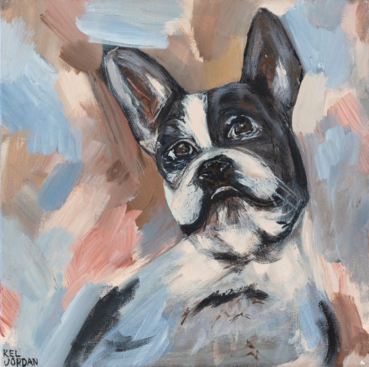 Boston Terrier