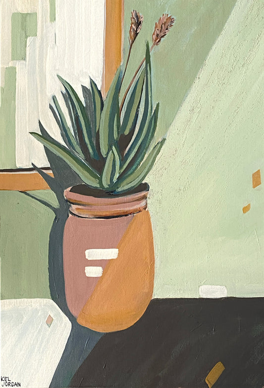 Aloe